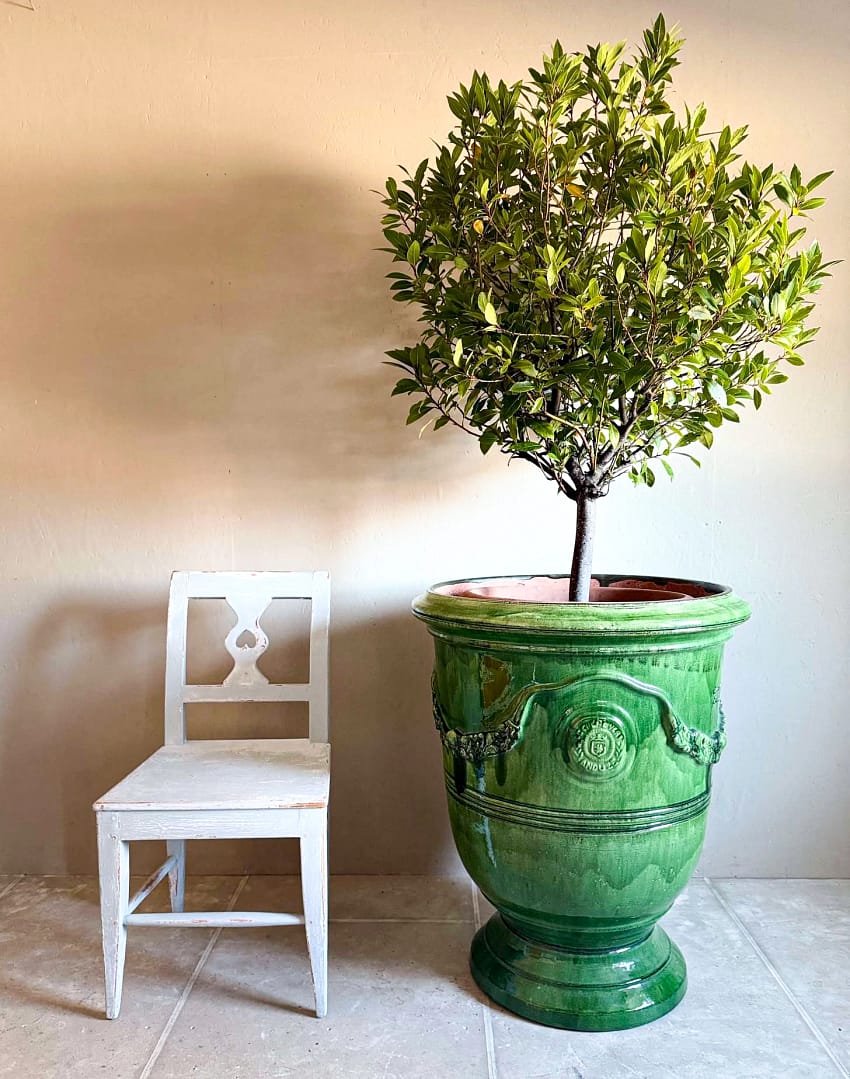 vert_fram_lagerblad_stol